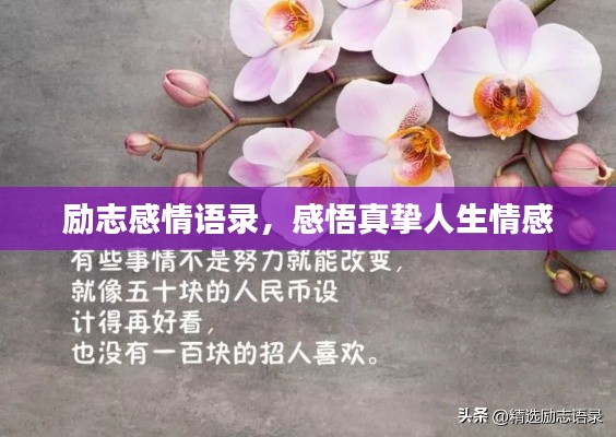 励志感情语录,感悟真挚人生情感
