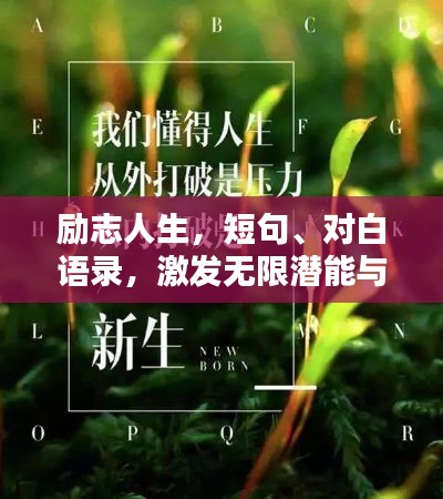 励志人生,短句、对白语录,激发无限潜能与斗志
