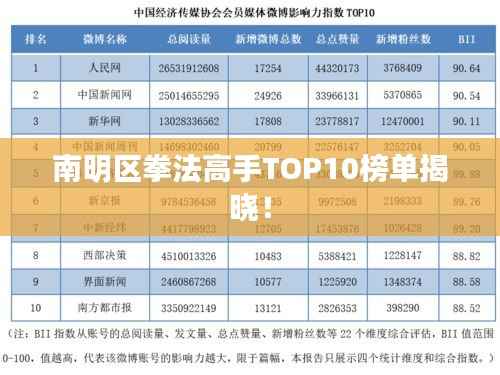 南明区拳法高手TOP10榜单揭晓!