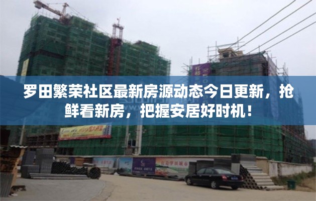 罗田繁荣社区最新房源动态今日更新，抢鲜看新房，把握安居好时机！