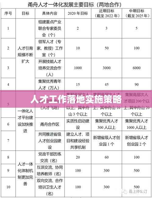 人才工作落地实施策略