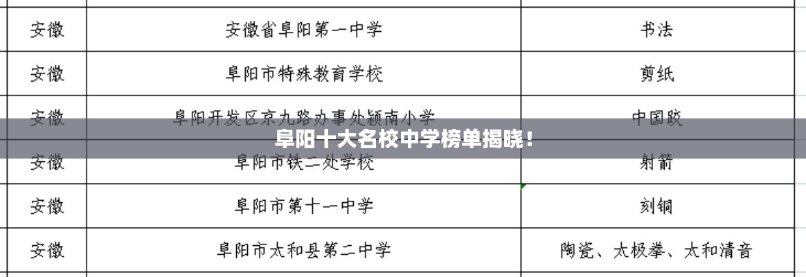 阜阳十大名校中学榜单揭晓!