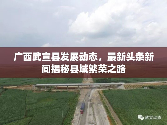广西武宣县发展动态,最新头条新闻揭秘县域繁荣之路