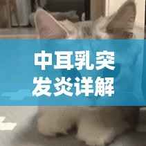 中耳乳突发炎详解,定义、诱因、症状与治疗方案