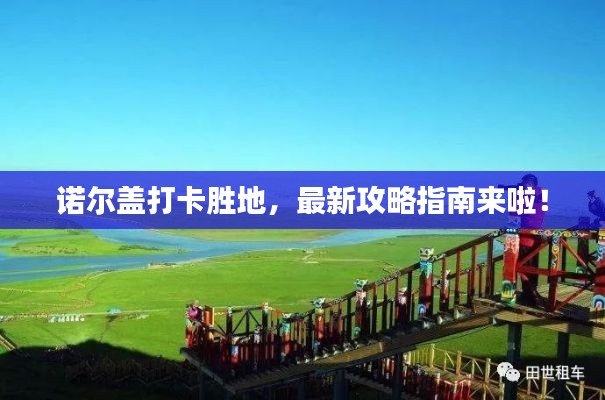 诺尔盖打卡胜地,最新攻略指南来啦!