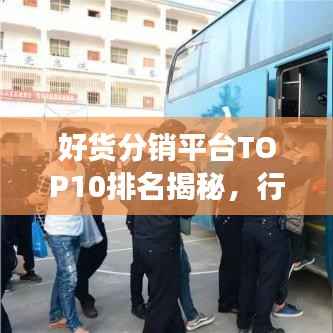 好货分销平台TOP10排名揭秘,行业深度洞察与细致分析