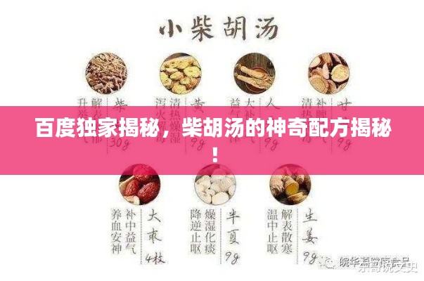 百度独家揭秘,柴胡汤的神奇配方揭秘!