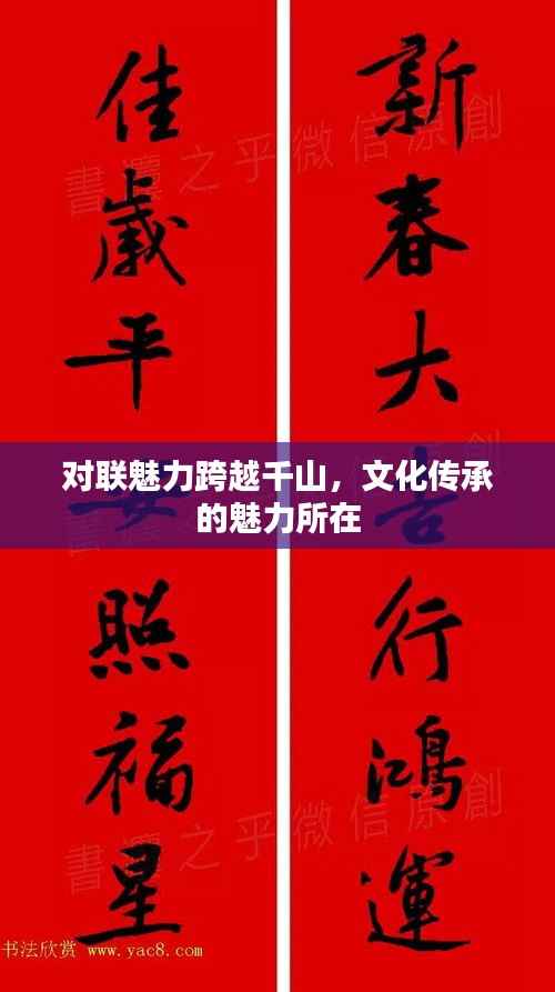 张皇铺饰 第3页