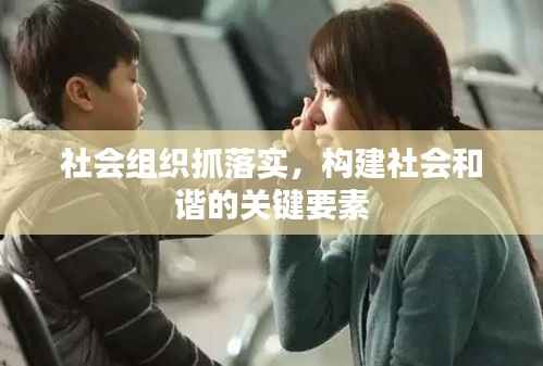 社会组织抓落实,构建社会和谐的关键要素