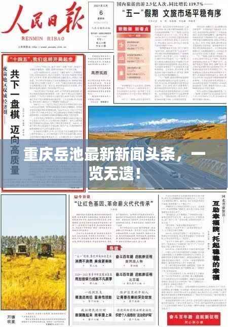 重庆岳池最新新闻头条,一览无遗!