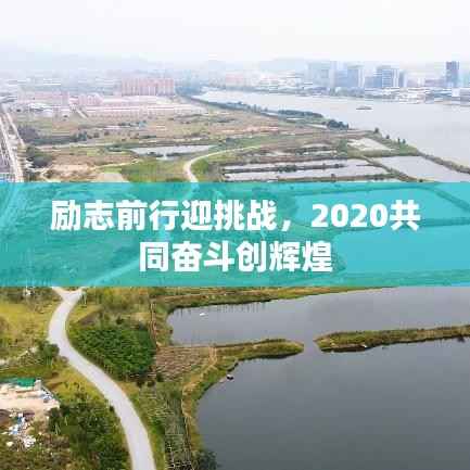 励志前行迎挑战,2020共同奋斗创辉煌