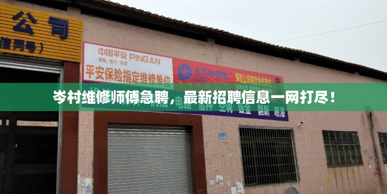 岑村维修师傅急聘,最新招聘信息一网打尽!