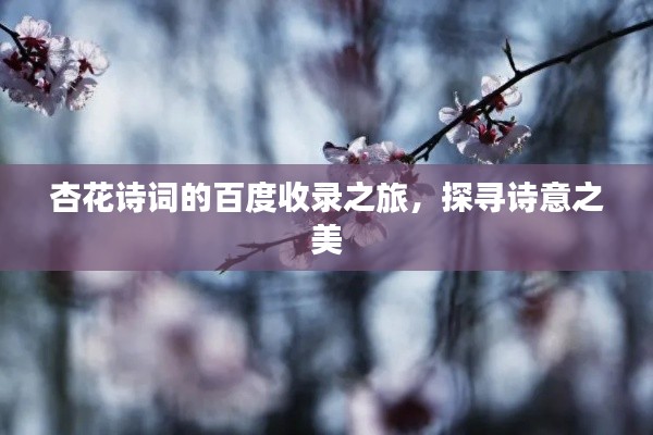 杏花诗词的百度收录之旅，探寻诗意之美