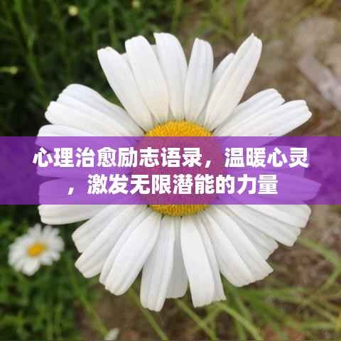 心理治愈励志语录,温暖心灵,激发无限潜能的力量