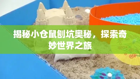 揭秘小仓鼠刨坑奥秘,探索奇妙世界之旅