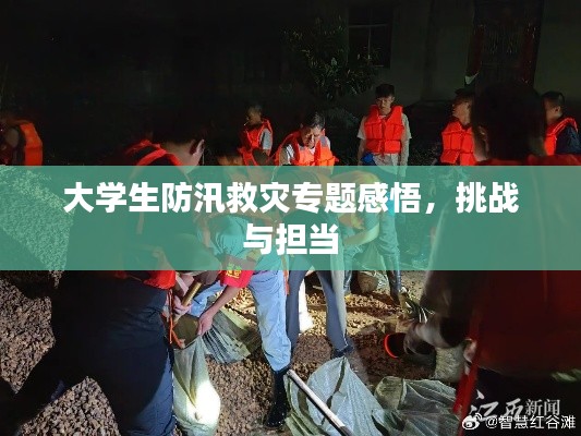 大学生防汛救灾专题感悟，挑战与担当