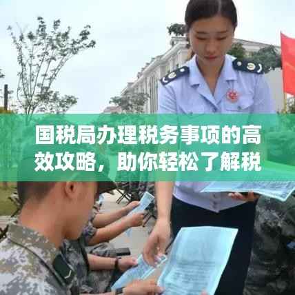国税局办理税务事项的高效攻略,助你轻松了解税务流程