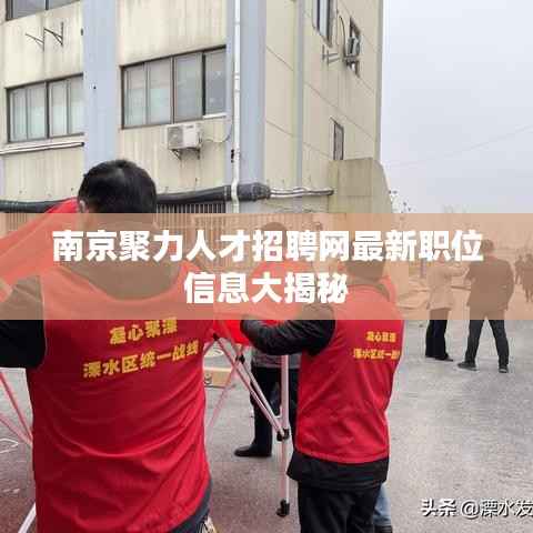 南京聚力人才招聘网最新职位信息大揭秘