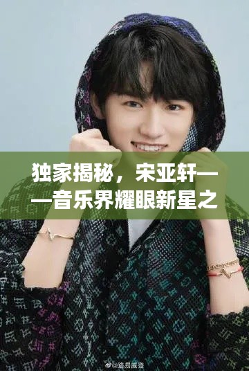 独家揭秘,宋亚轩——音乐界耀眼新星之旅