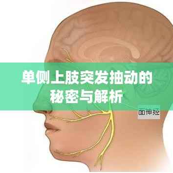 单侧上肢突发抽动的秘密与解析