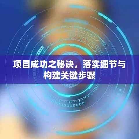 项目成功之秘诀,落实细节与构建关键步骤