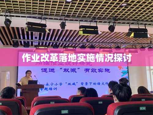 作业改革落地实施情况探讨