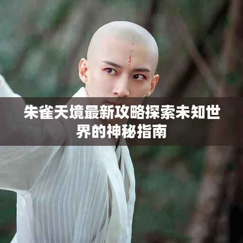 朱雀天境最新攻略探索未知世界的神秘指南