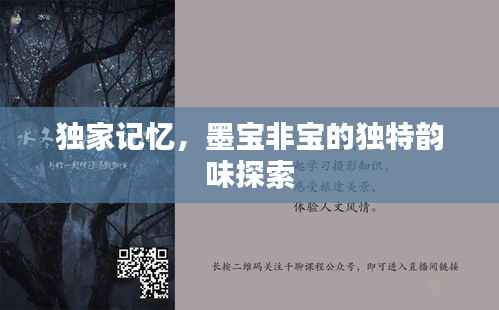 独家记忆，墨宝非宝的独特韵味探索