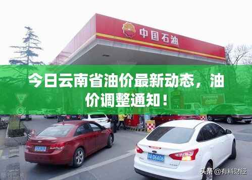 今日云南省油价最新动态,油价调整通知!