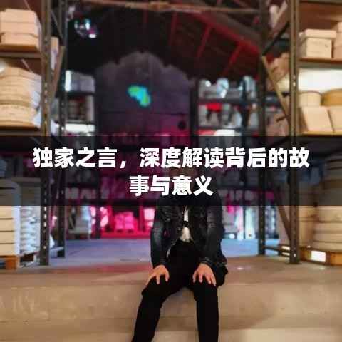 独家之言,深度解读背后的故事与意义