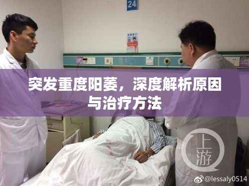 明夷于飞