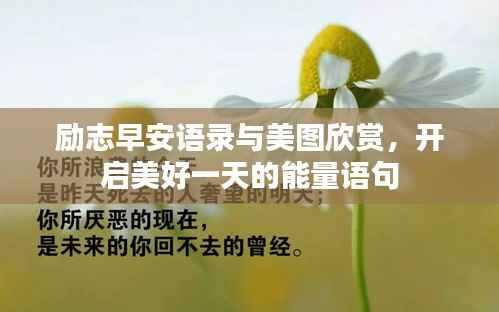 励志早安语录与美图欣赏,开启美好一天的能量语句
