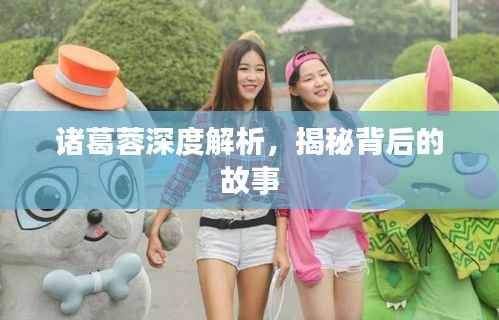 诸葛蓉深度解析,揭秘背后的故事