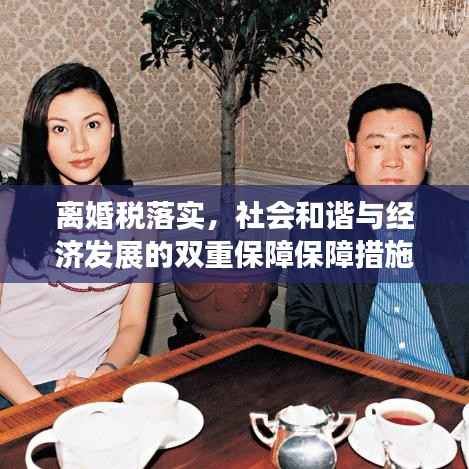 离婚税落实,社会和谐与经济发展的双重保障保障措施落地实施,离婚税助力社会和谐与经济发展