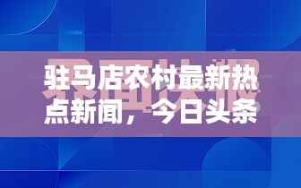 驻马店农村最新热点新闻,今日头条速览