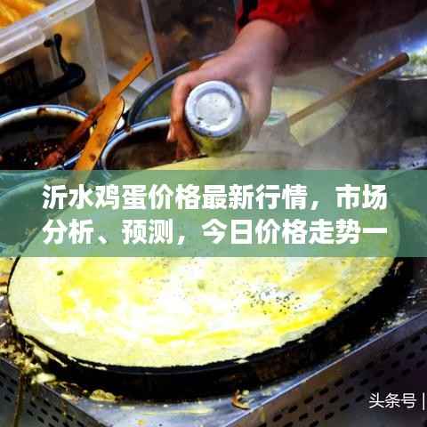 沂水鸡蛋价格最新行情,市场分析、预测,今日价格走势一网打尽!