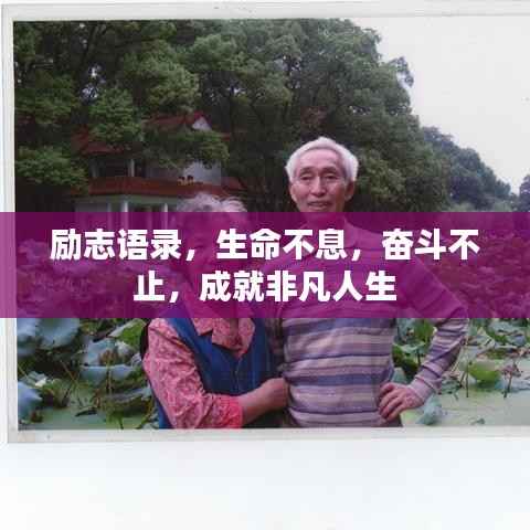 励志语录,生命不息,奋斗不止,成就非凡人生