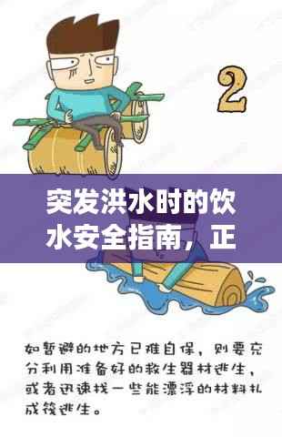 突发洪水时的饮水安全指南,正确饮水视频教程助你应对危机