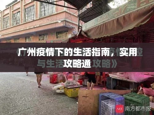 广州疫情下的生活指南,实用攻略通