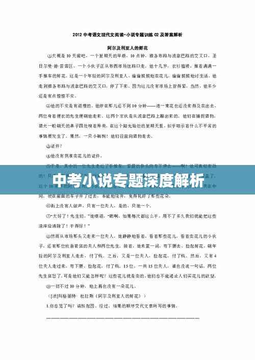 中考小说专题深度解析