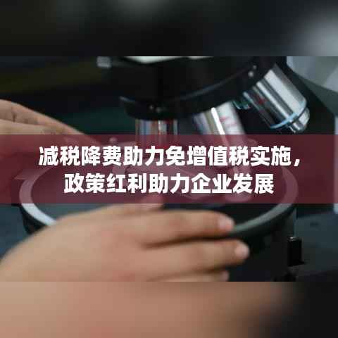 减税降费助力免增值税实施,政策红利助力企业发展