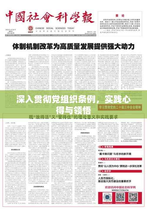 深入贯彻党组织条例,实践心得与领悟