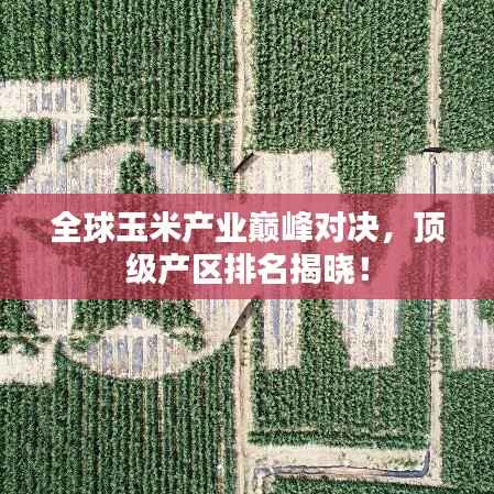 全球玉米产业巅峰对决,顶级产区排名揭晓!