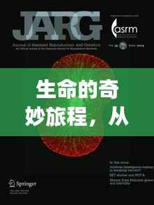 生命的奇妙旅程,从受精卵到生命的不断演绎