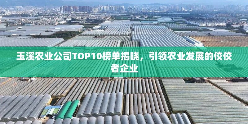 玉溪农业公司TOP10榜单揭晓,引领农业发展的佼佼者企业