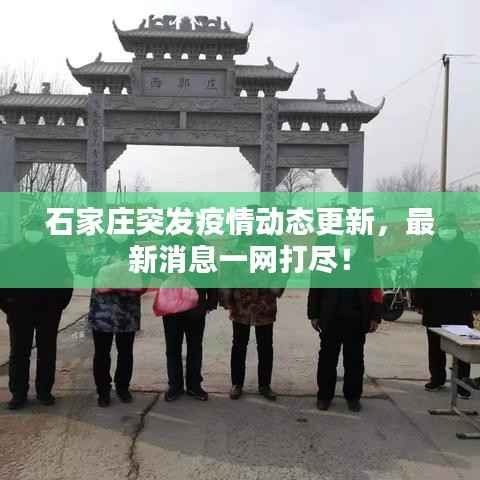 石家庄突发疫情动态更新,最新消息一网打尽!