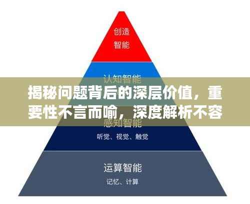 揭秘问题背后的深层价值,重要性不言而喻,深度解析不容错过