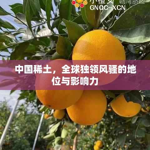 中国稀土,全球独领风骚的地位与影响力