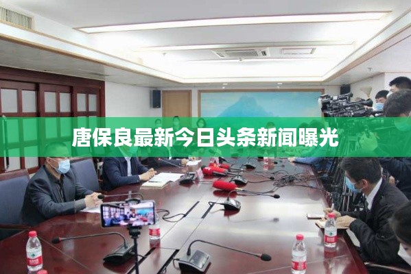 唐保良最新今日头条新闻曝光