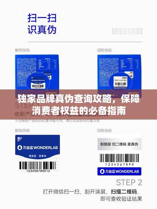 独家品牌真伪查询攻略,保障消费者权益的必备指南